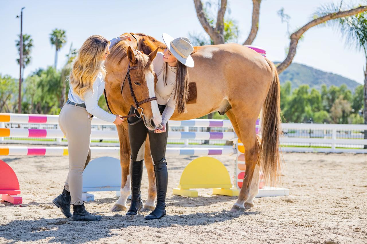 Spring Fashion Trends in Equestrian Apparel and Tack - Millbrook Tack