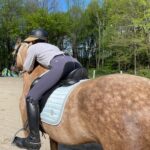 Equestrian Competition Wear Trends