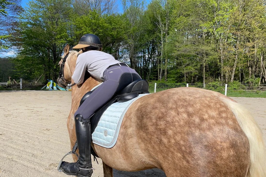 Equestrian Competition Wear Trends